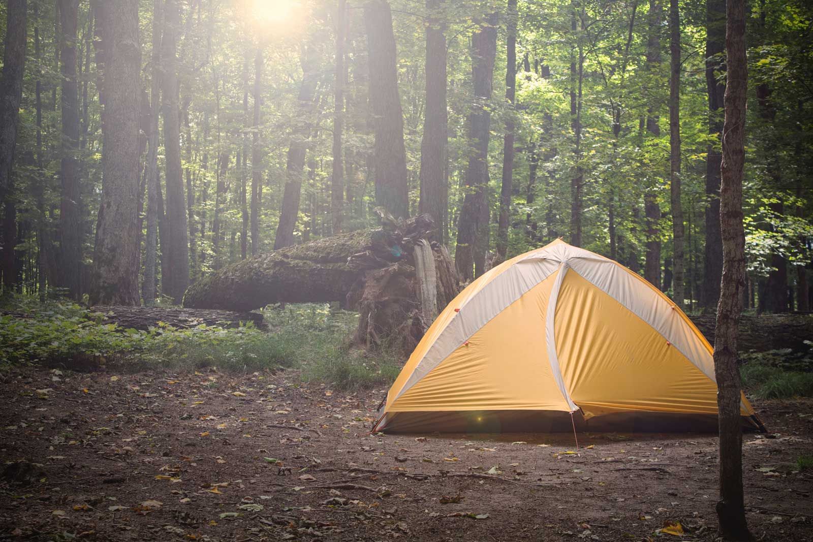 Image of: Sports & Outdoor